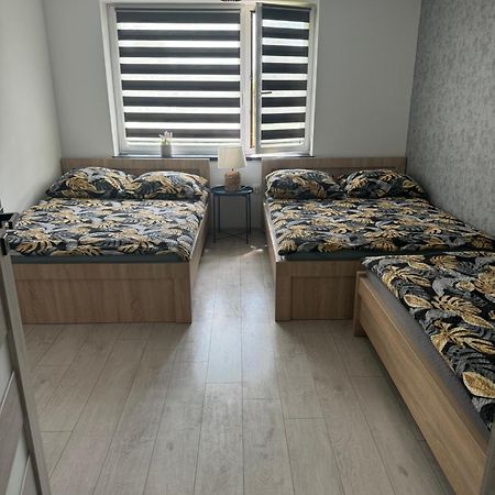 Apartamenty Happy House Zator Exteriör bild